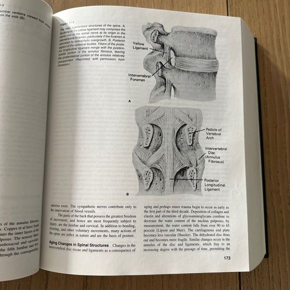 Fifth Edition Principles Of Neurology Raymond D. Adams Maurice Victor Hardcover - Picture 8 of 9